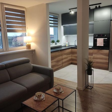 Apartament Z Widokiem Na Miasto Gliwice Exterior photo
